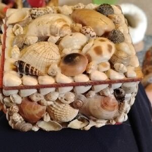 Vintage Seashell Trinket Box